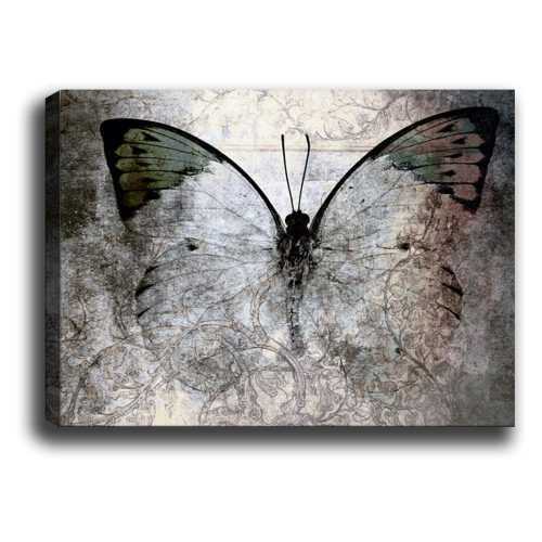 Fading Butterfly kép