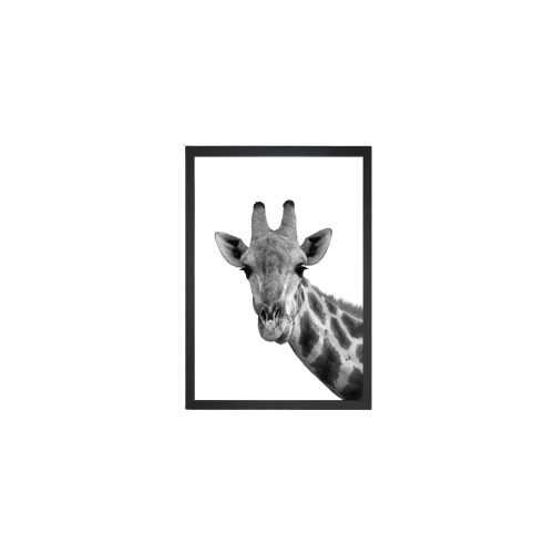 Giraffe Portrait kép