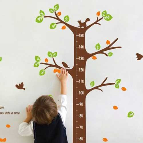 Kidmeter Decal falmatrica - Ambiance