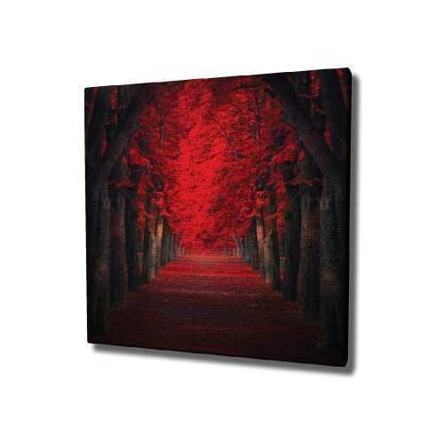 Red Trees vászon fali kép