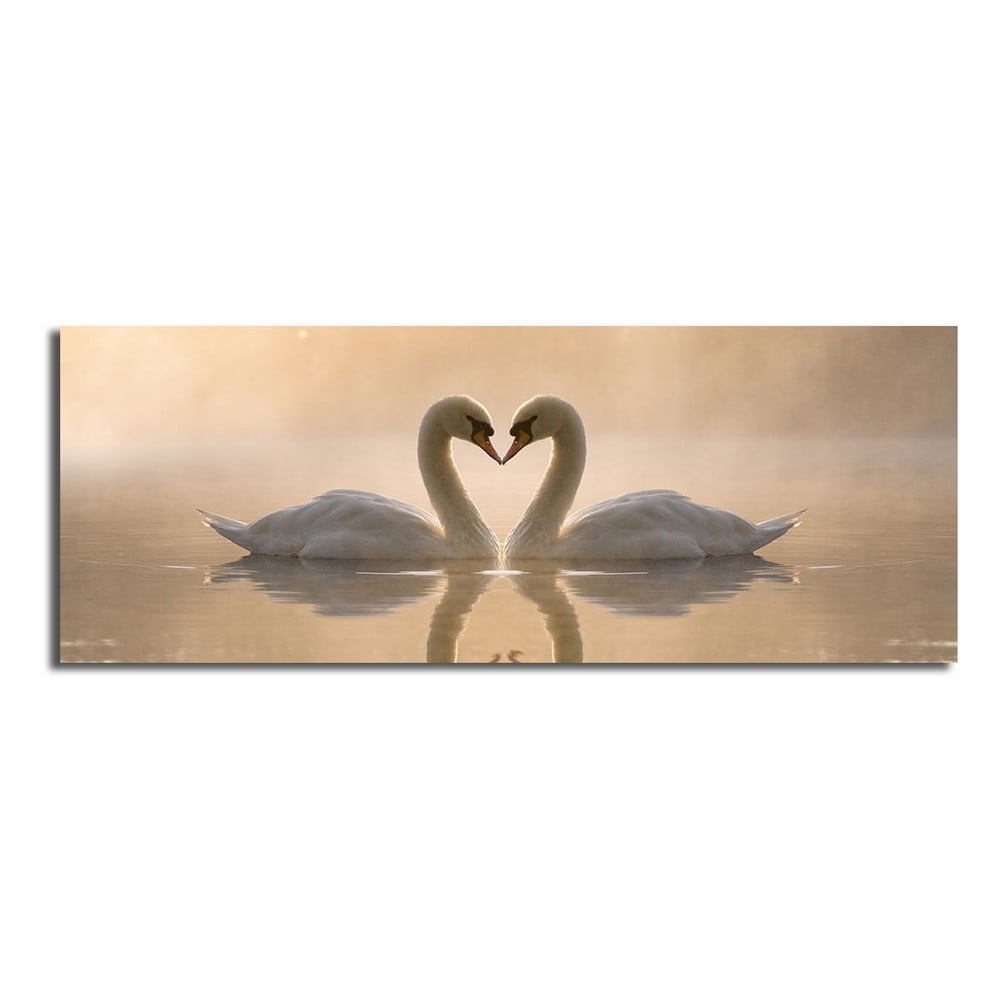 Swan Love vászonkép