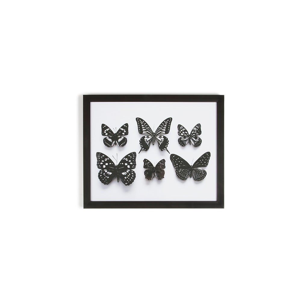 Botanical Butterfly keretezett fali kép