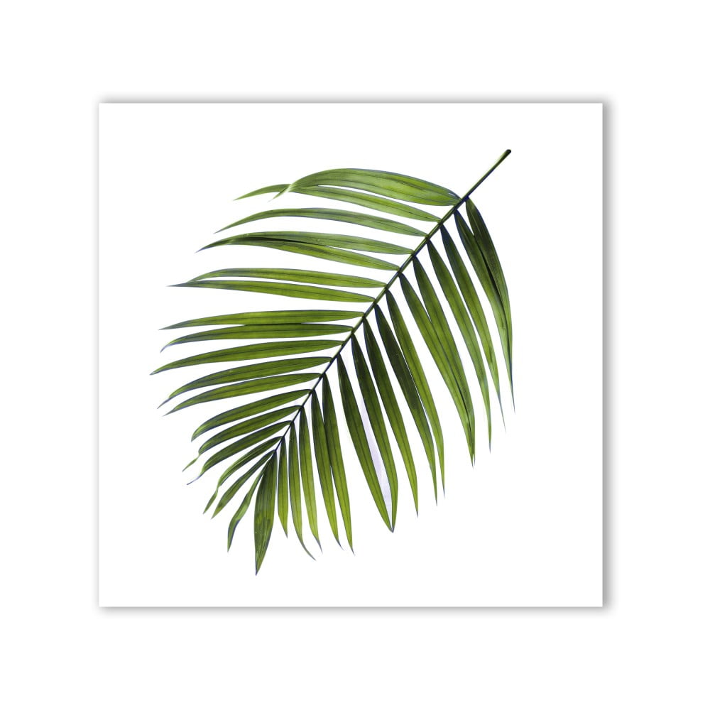 Canvas Greenery Black Palm kép
