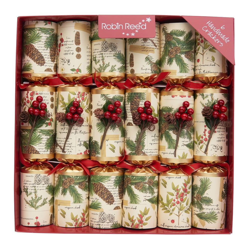 Karácsonyi cracker készlet 6 db-os Evergreen - Robin Reed