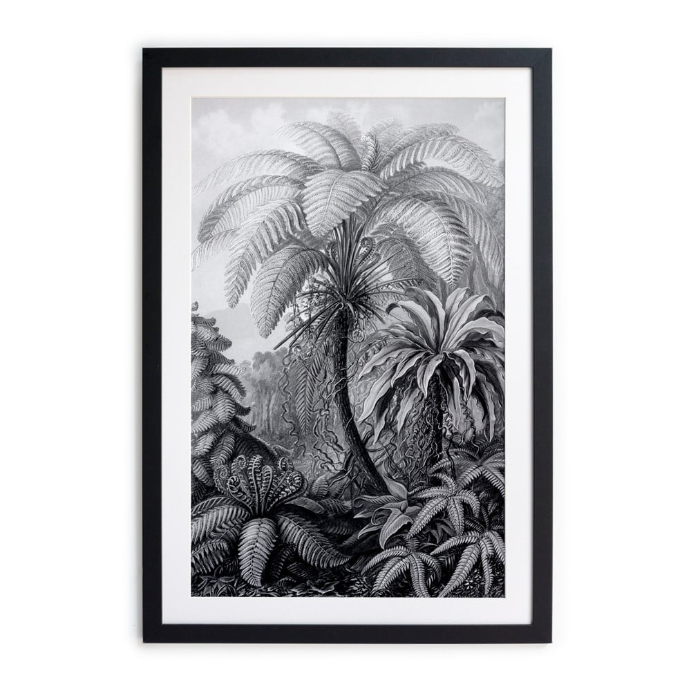 Palm fekete-fehér plakát