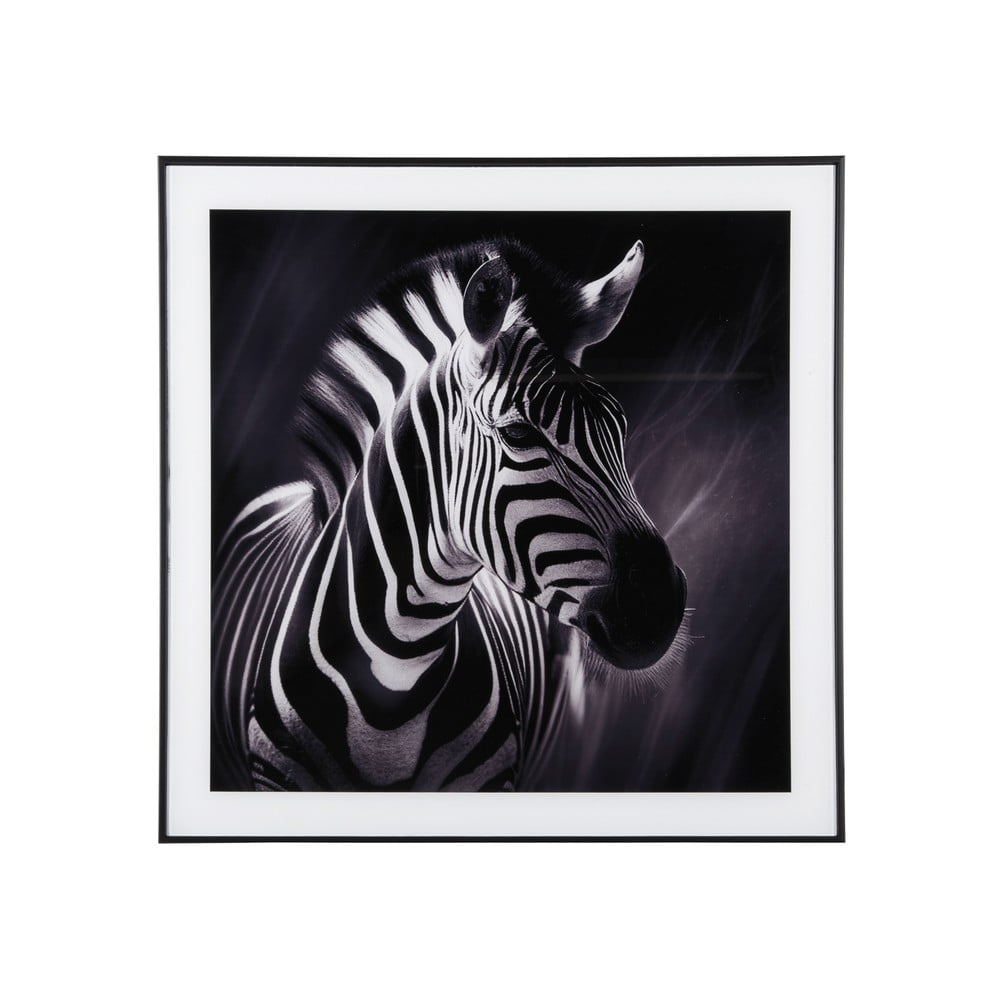 Kép 50x50 cm  Zebra  – PT LIVING