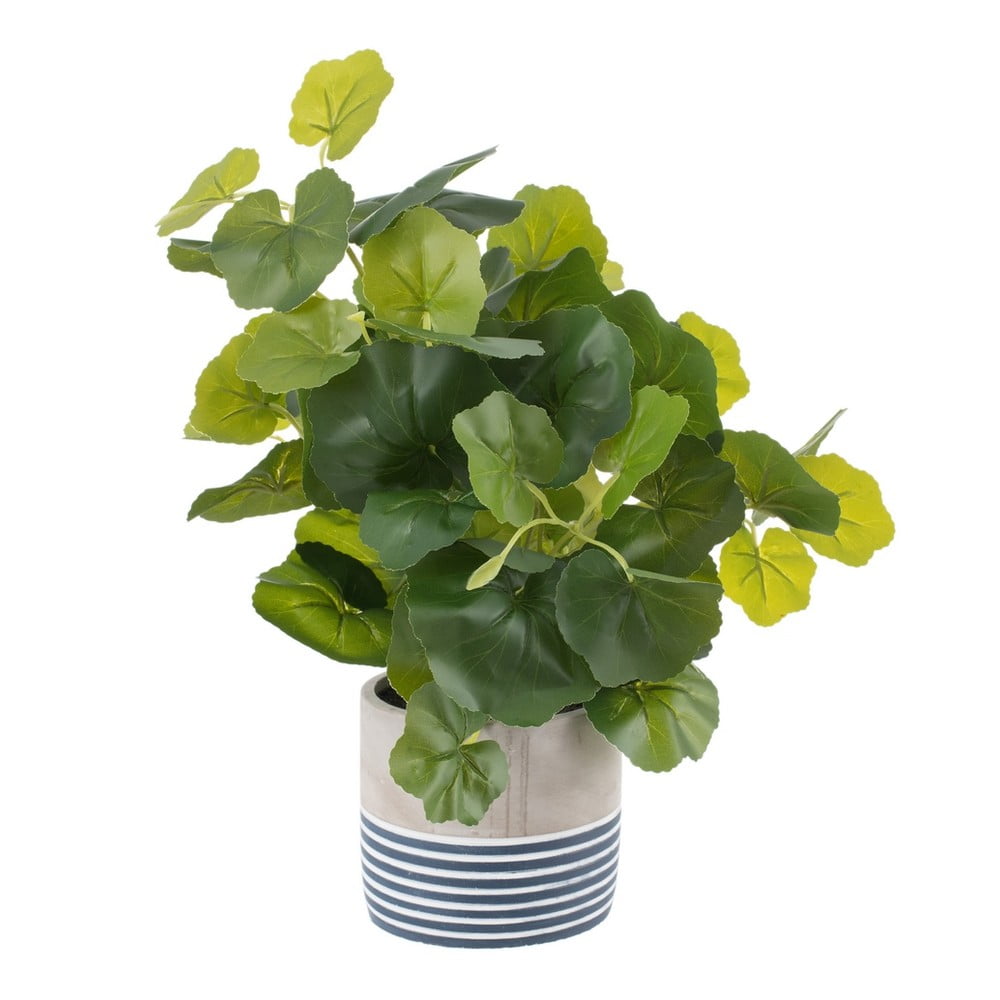 Műnövény (magasság 39 cm) Leaves – Ixia