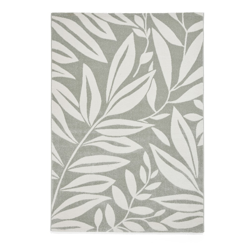 Világoszöld szőnyeg 120x170 cm Sorral Leaves  – Catherine Lansfield