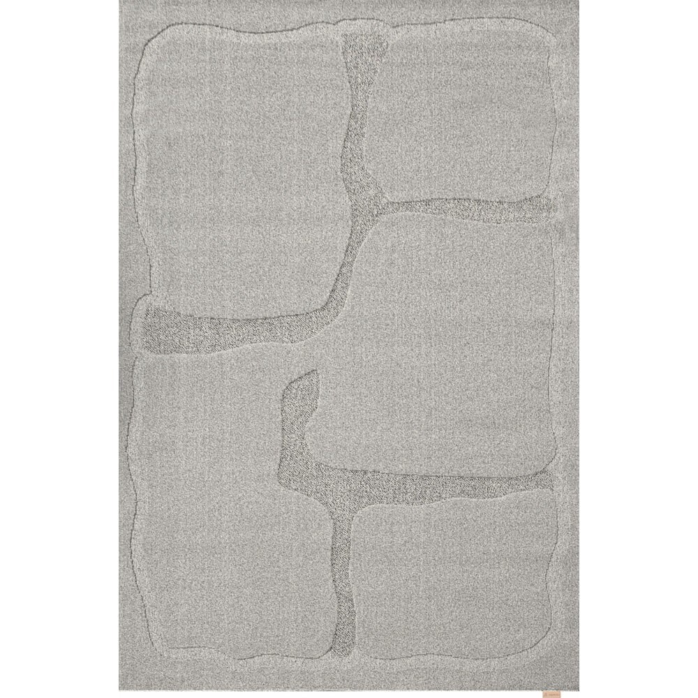 Szürke gyapjú szőnyeg 160x230 cm Morphic Organica – Agnella