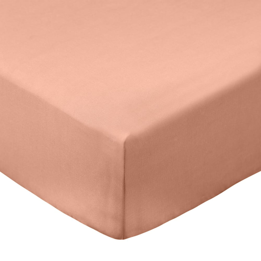 Terrakotta színű gumis pamut-perkál lepedő 185x200 cm Cotton Percale – Bianca