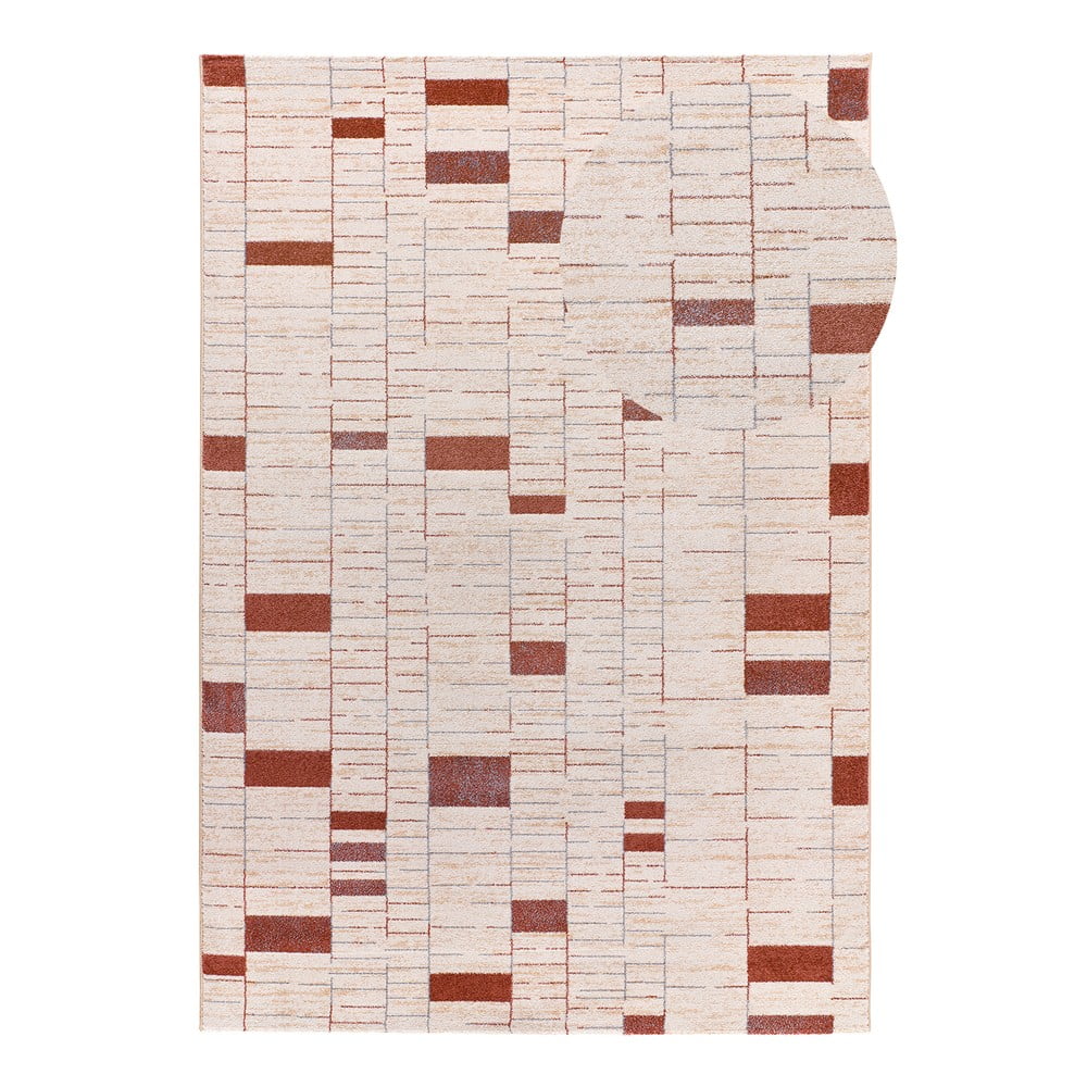 Téglavörös-krémszínű szőnyeg 160x230 cm Beruti – Universal